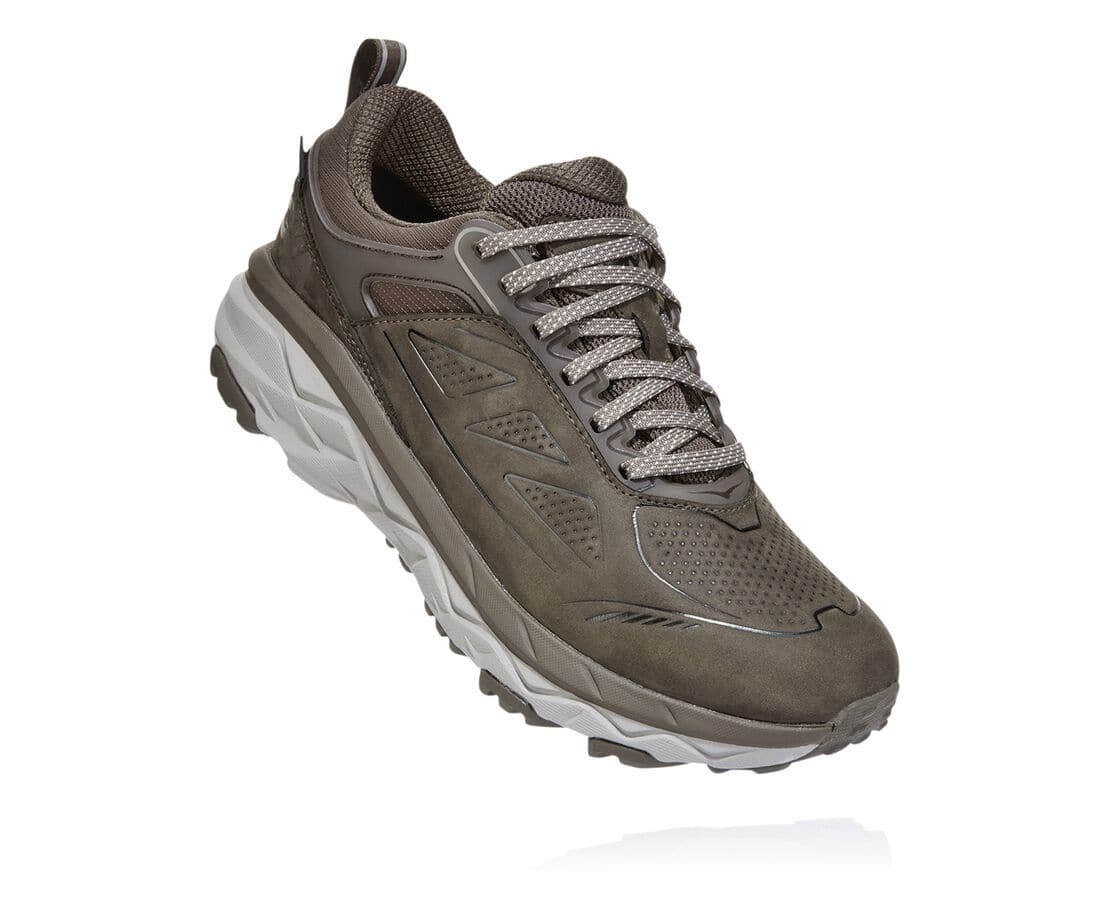 Hoka One One Challenger Low Gore-Tex Philippines - Ladies Wide Running Shoes - Brown | OS0152769